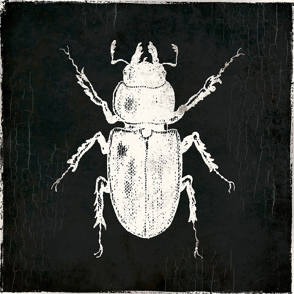 Bug Life Four Black art print by Milli Villa for $57.95 CAD
