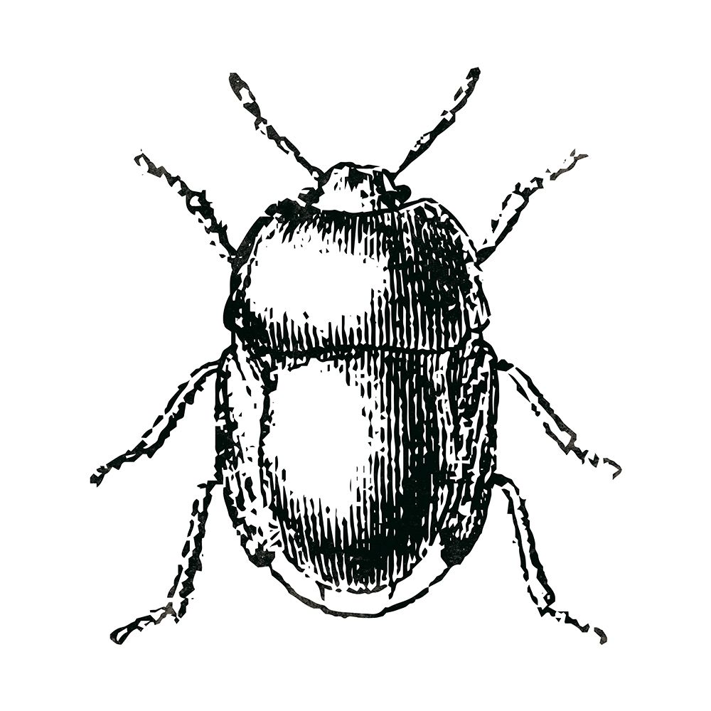 Bug Life art print by Milli Villa for $57.95 CAD