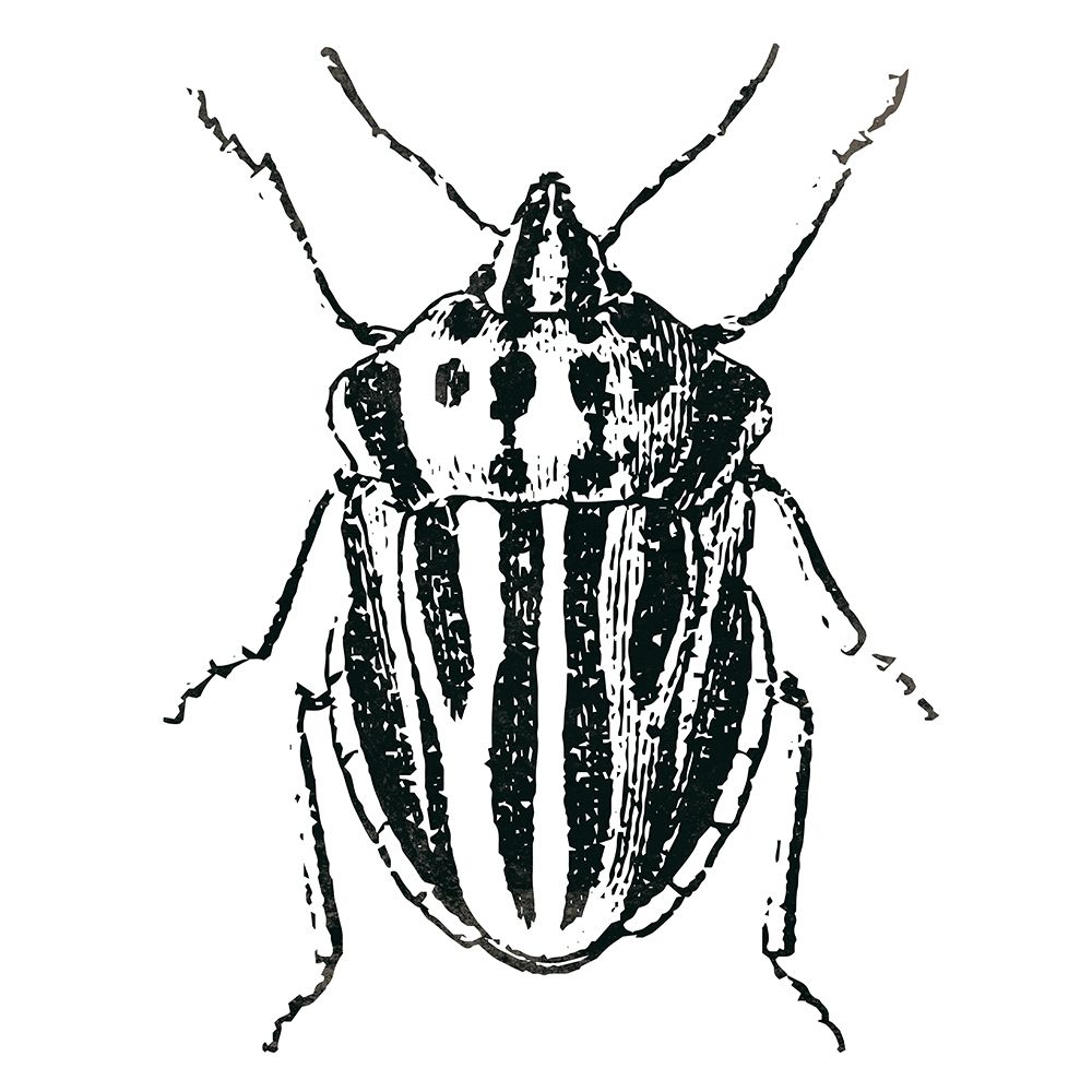 Bug Life Three art print by Milli Villa for $57.95 CAD