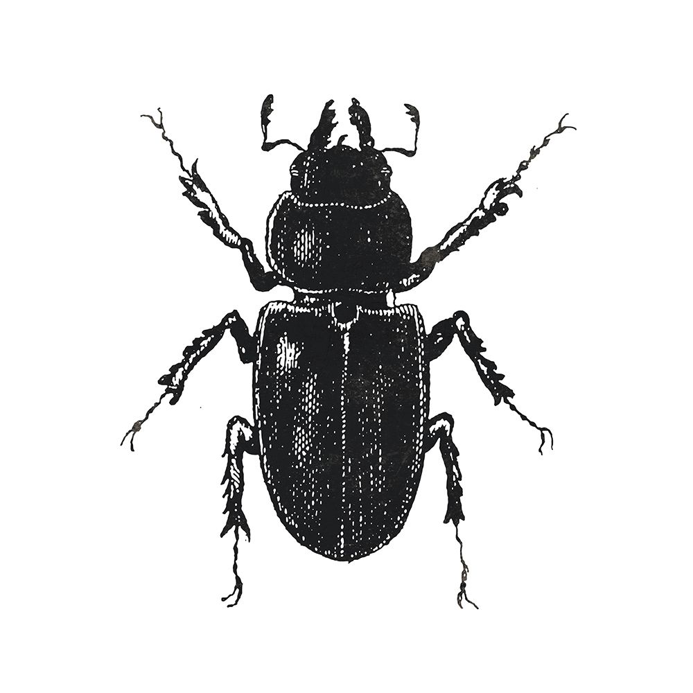 Bug Life Four art print by Milli Villa for $57.95 CAD