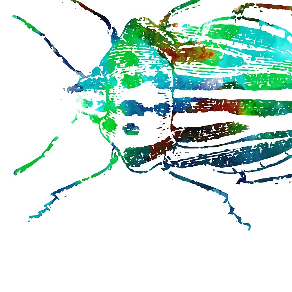 Water Bugs Three art print by Milli Villa for $57.95 CAD