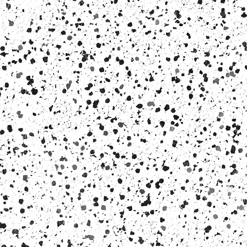BW Speckles art print by Milli Villa for $57.95 CAD