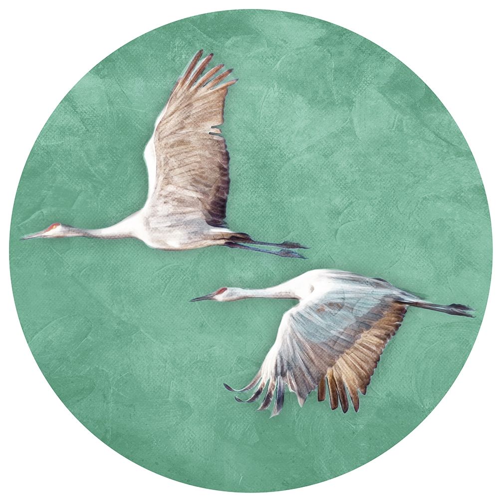 Two Crane Circle art print by Milli Villa for $57.95 CAD