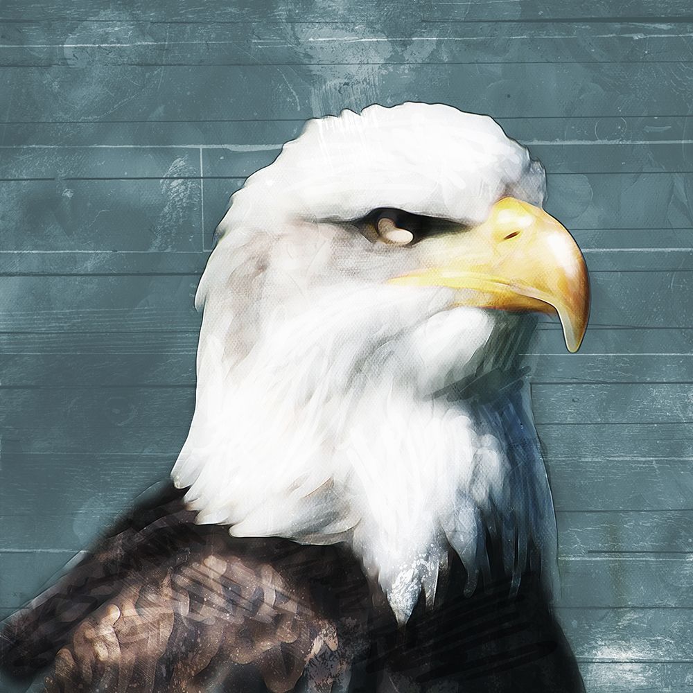 Eagle Eye art print by Milli Villa for $57.95 CAD