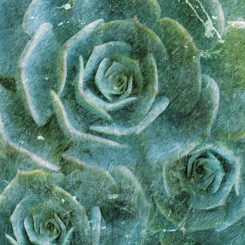 Three Succulents art print by Milli Villa for $57.95 CAD