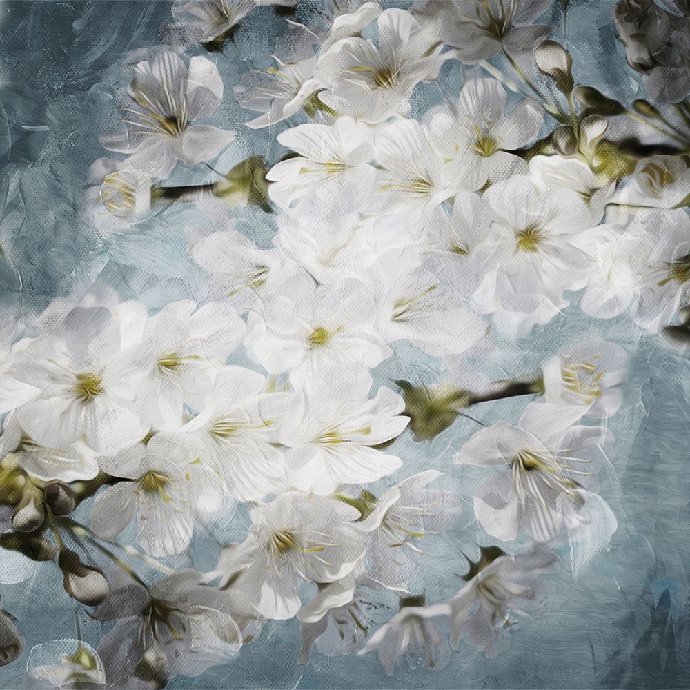 White Flowers With Blue art print by Milli Villa for $57.95 CAD