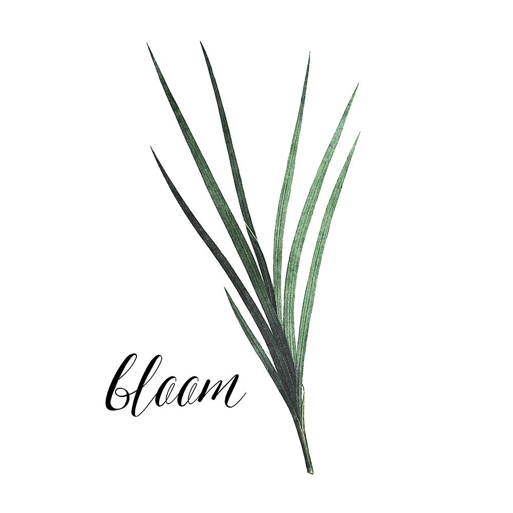 Bloom art print by Milli Villa for $57.95 CAD