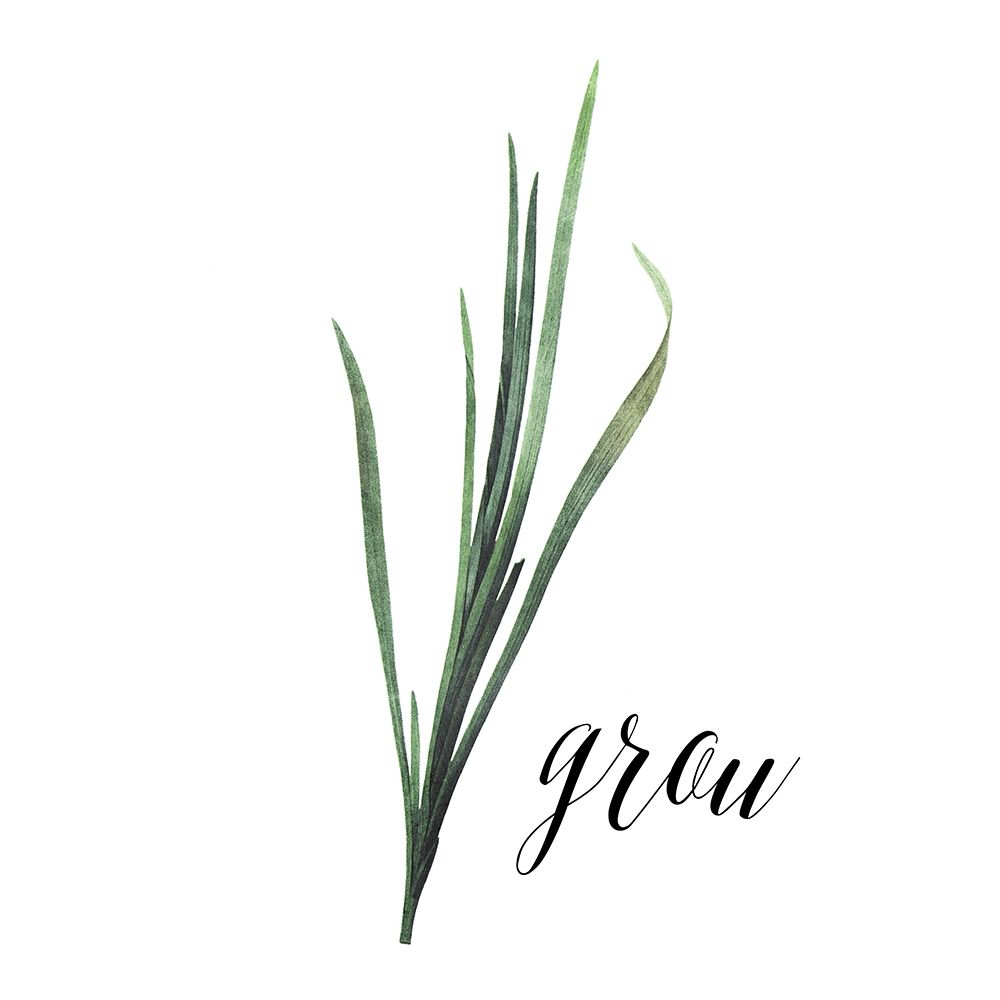 Grow art print by Milli Villa for $57.95 CAD