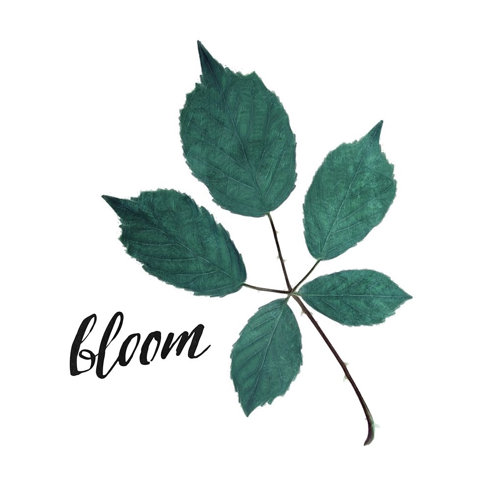 Bloom Leaves art print by Milli Villa for $57.95 CAD