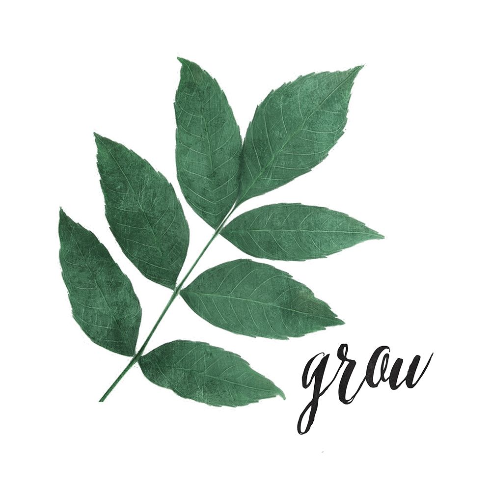 Grow Leaves art print by Milli Villa for $57.95 CAD