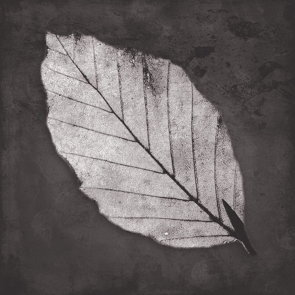 Classic Leaf art print by Milli Villa for $57.95 CAD