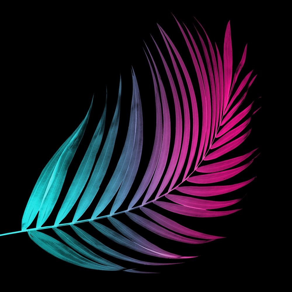 Neon Palms art print by Milli Villa for $57.95 CAD