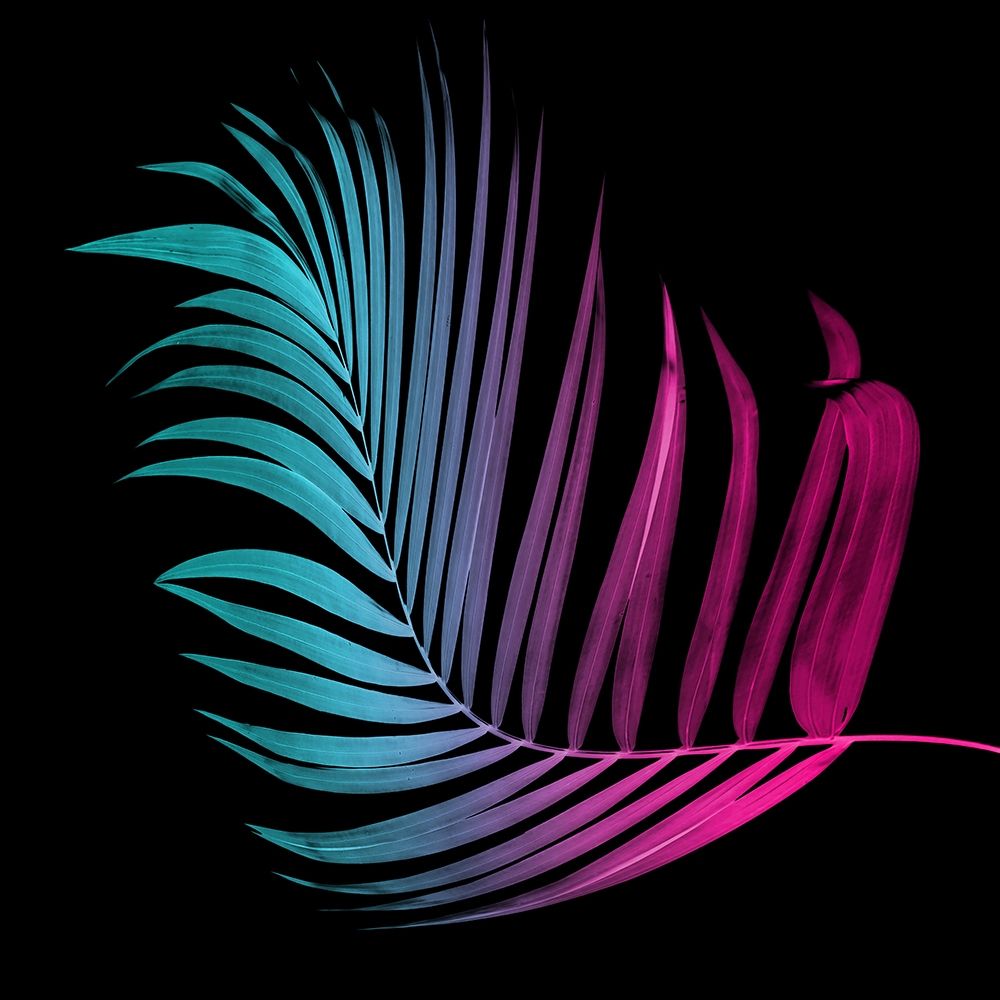 Neon Palms Two art print by Milli Villa for $57.95 CAD