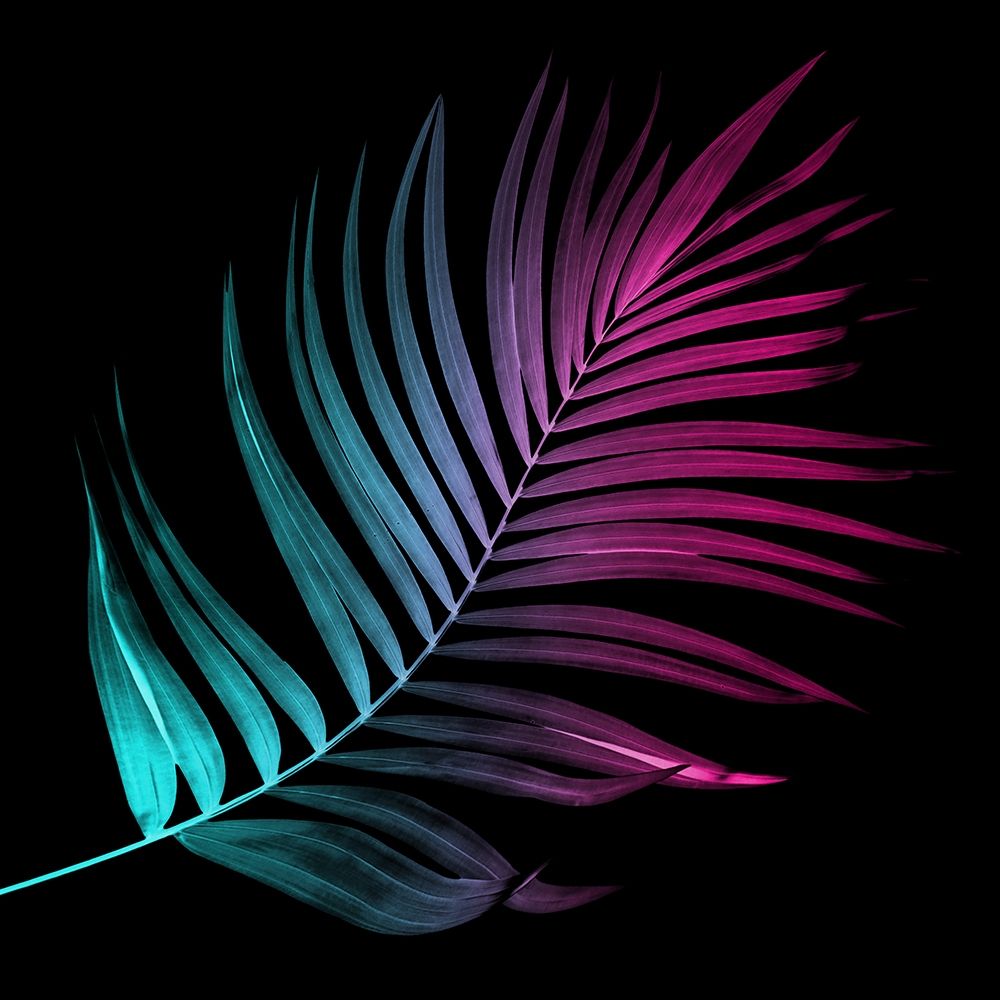 Neon Palms Three art print by Milli Villa for $57.95 CAD