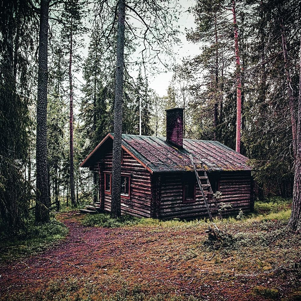 Lodge In The Woods art print by Milli Villa for $57.95 CAD
