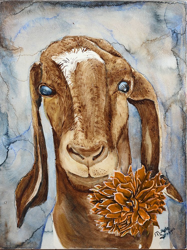 Farm Animal Goat 2 art print by Nichole Lorenzen for $57.95 CAD