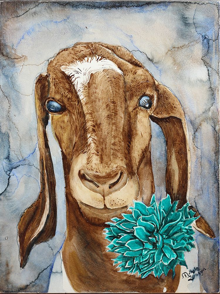 Farm Animal Goat 1 art print by Nichole Lorenzen for $57.95 CAD