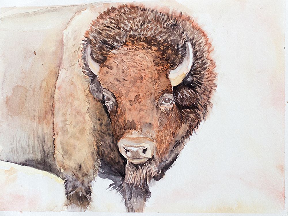 Bison art print by Nichole Lorenzen for $57.95 CAD