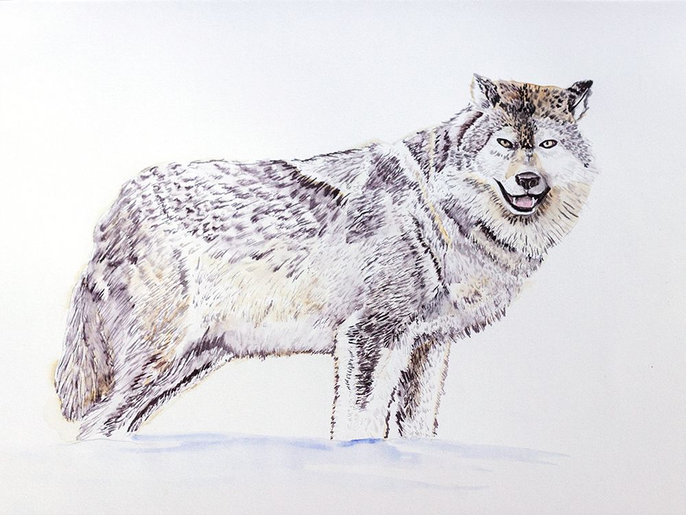 Wolf art print by Nichole Lorenzen for $57.95 CAD