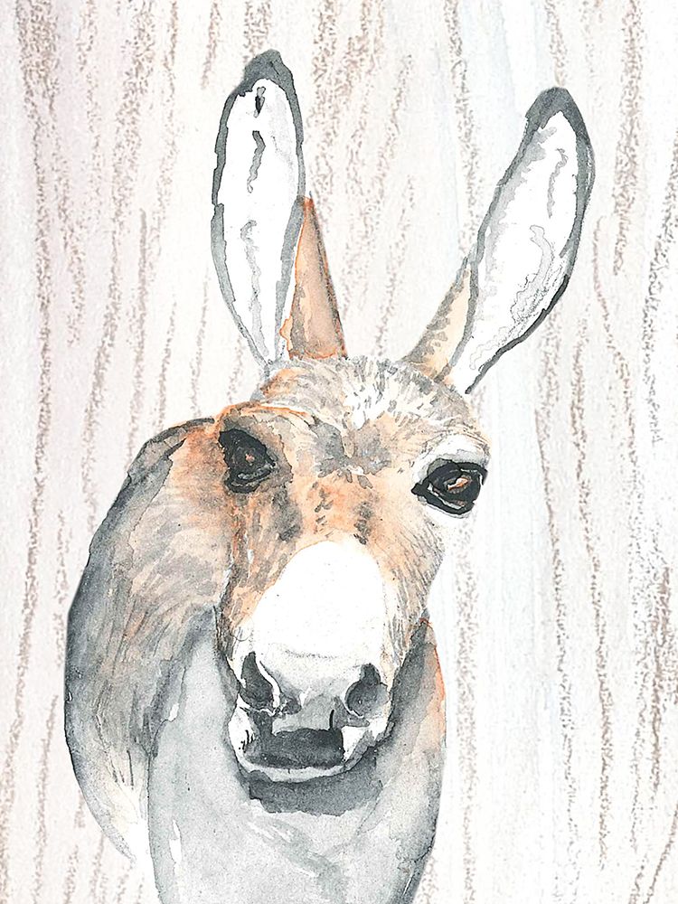 Donkey 1 art print by Nichole Lorenzen for $57.95 CAD