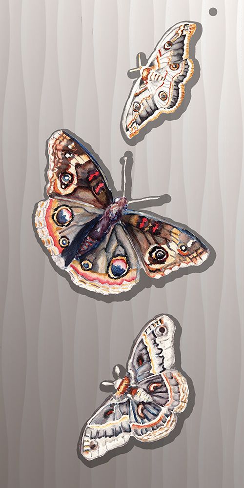 Butterfly 2 art print by Nichole Lorenzen for $57.95 CAD