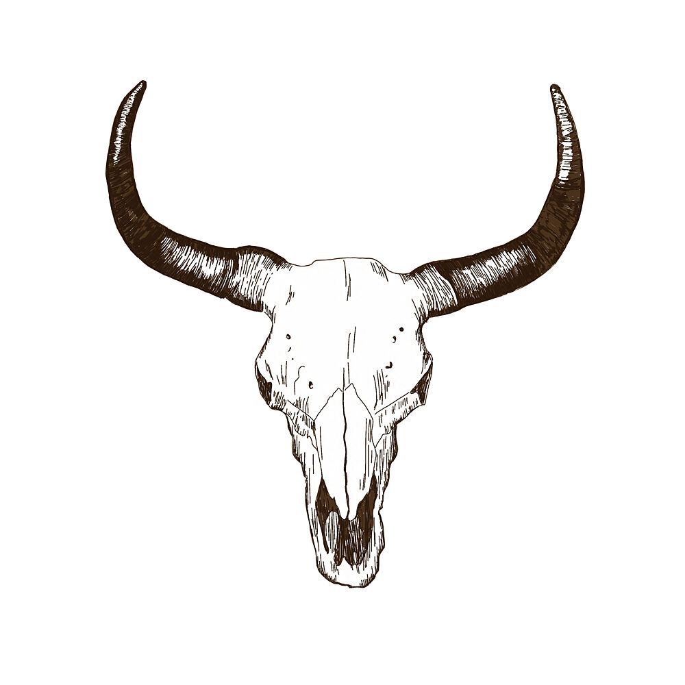 Skullline art print by Nichole Lorenzen for $57.95 CAD