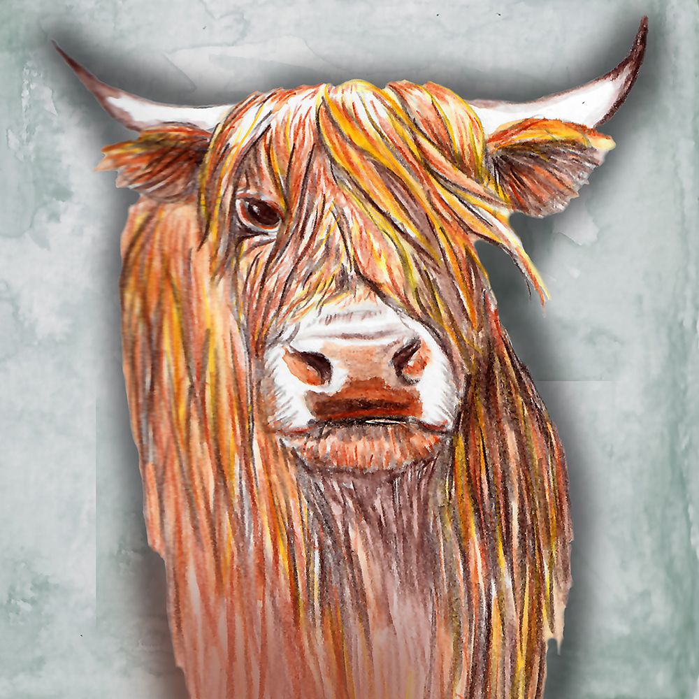 Highlander On White art print by Nichole Lorenzen for $57.95 CAD