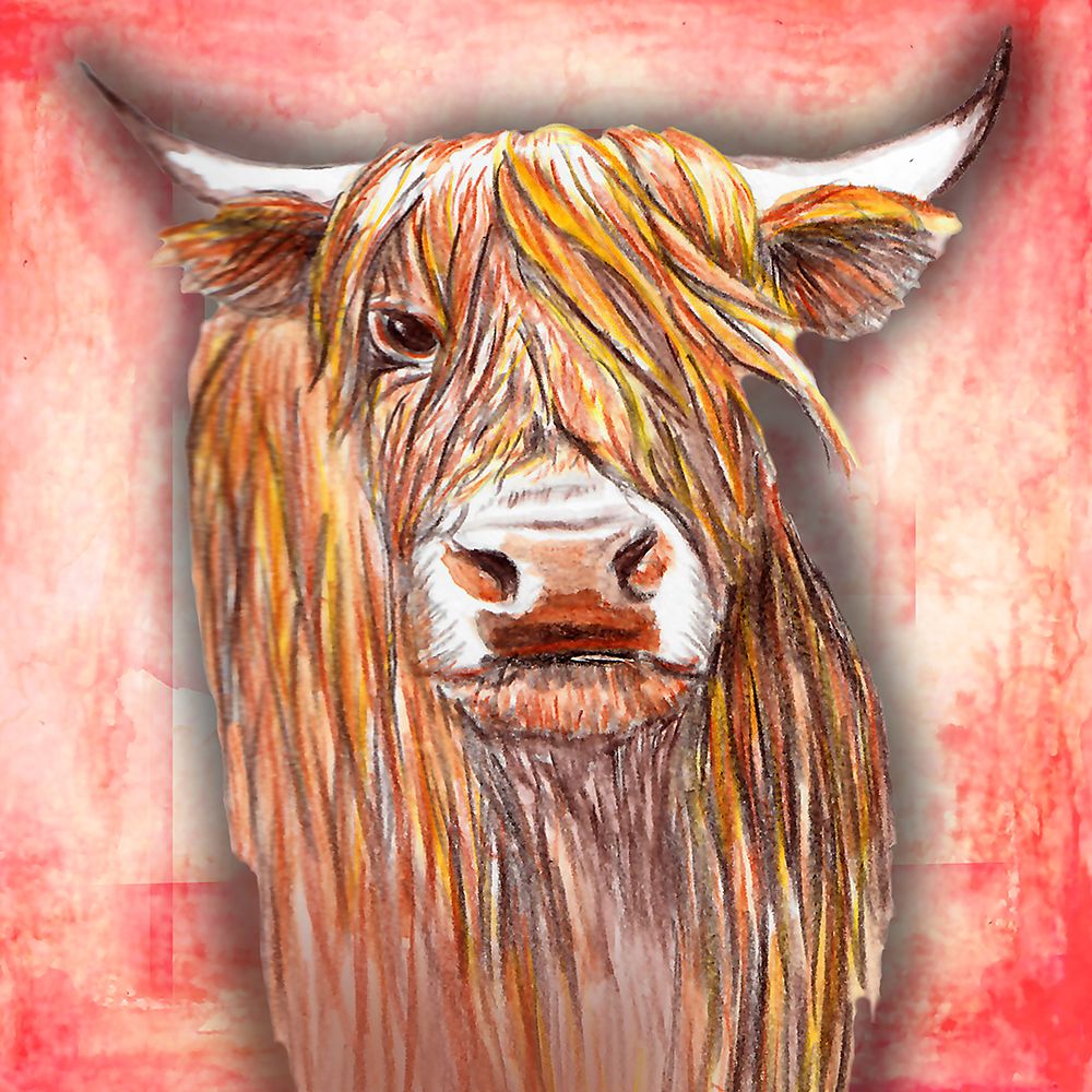 Highlander art print by Nichole Lorenzen for $57.95 CAD