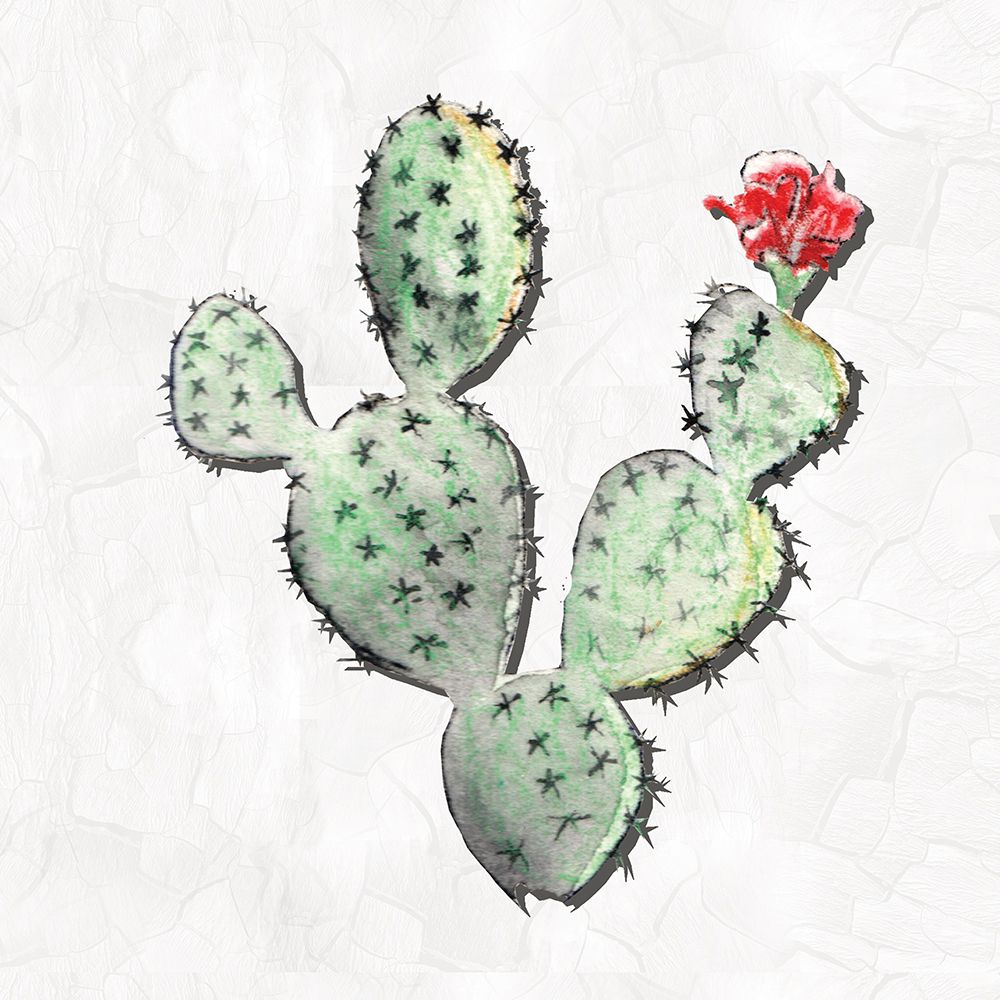 Southwestern Cacti art print by Nichole Lorenzen for $57.95 CAD