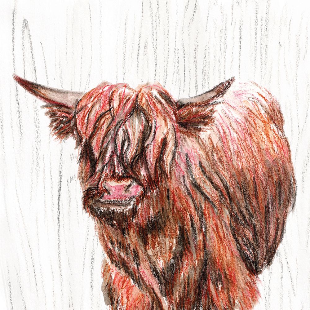 Highlander art print by Nichole Lorenzen for $57.95 CAD