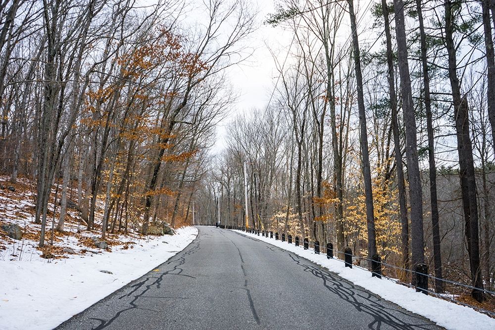 Cold Long Road art print by Orlando for $57.95 CAD