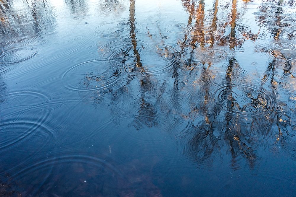 Reflect On Me art print by Orlando for $57.95 CAD