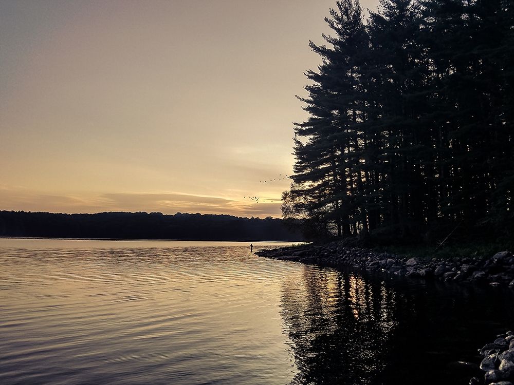 Evening Solitude I art print by Orlando for $57.95 CAD