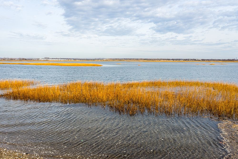 Winter Marsh art print by Orlando for $57.95 CAD