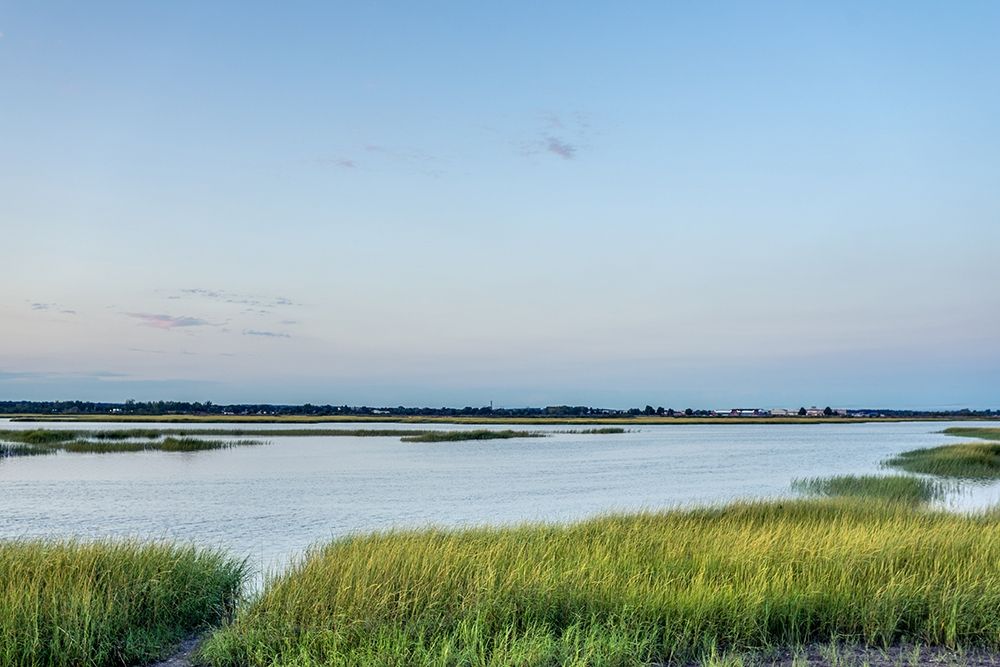Summer Marsh art print by Orlando for $57.95 CAD