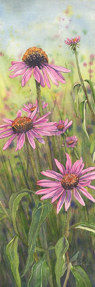 Cone Flowers Trio 2 art print by Patti Bishop for $57.95 CAD