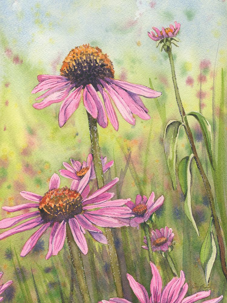 Cone Flowers Trio 3 art print by Patti Bishop for $57.95 CAD