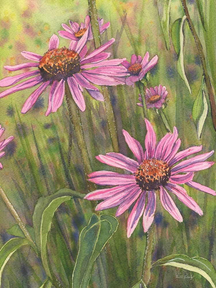 Cone Flowers Trio 4 art print by Patti Bishop for $57.95 CAD