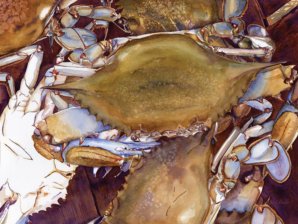 Crabs art print by Patti Bishop for $57.95 CAD