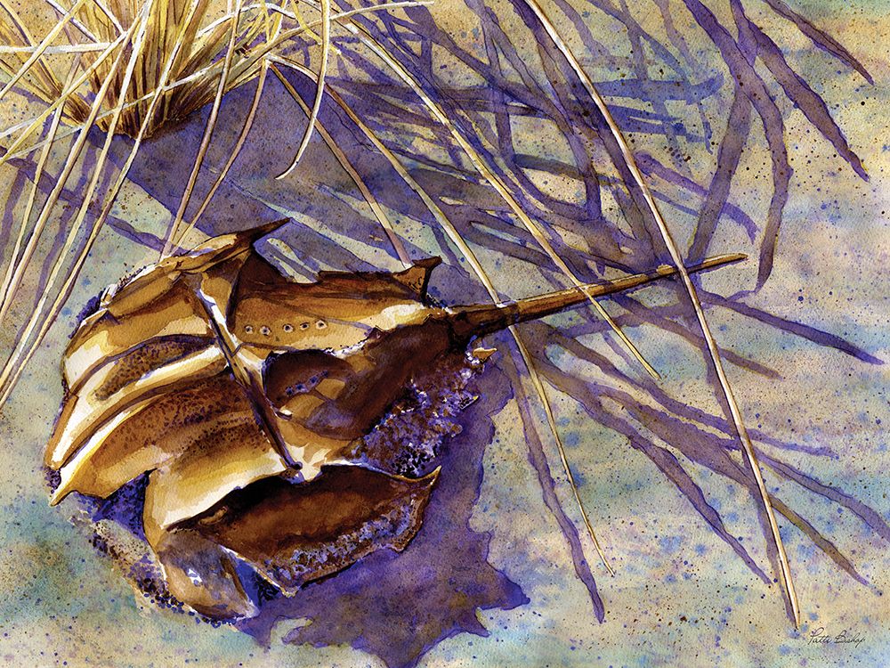 Horseshoe Hues art print by Patti Bishop for $57.95 CAD