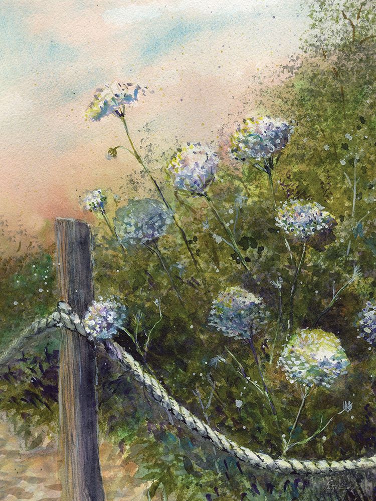 Queen Annes Lace art print by Patti Bishop for $57.95 CAD
