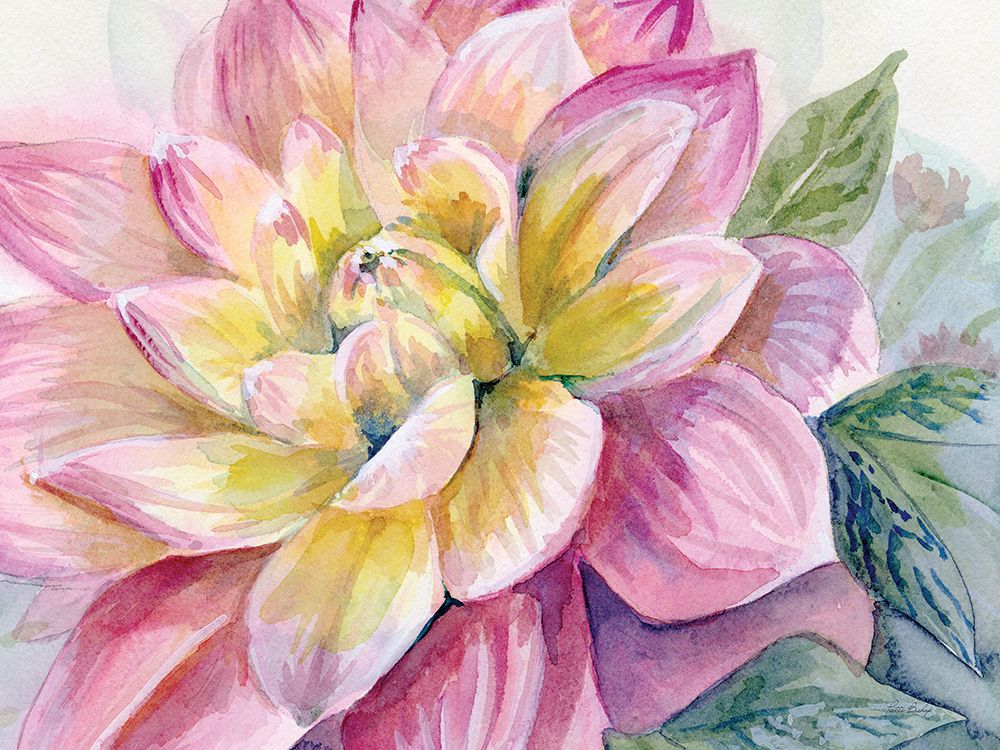 Dahlia Pink 1 art print by Patti Bishop for $57.95 CAD