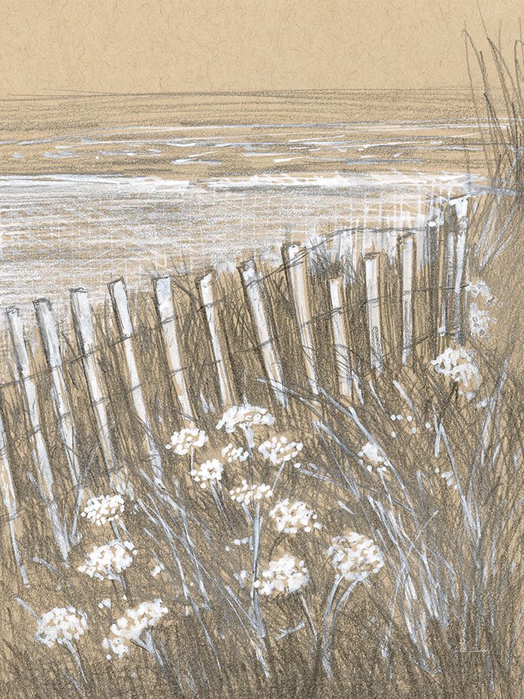 Queen Anne Lace art print by Patti Bishop for $57.95 CAD
