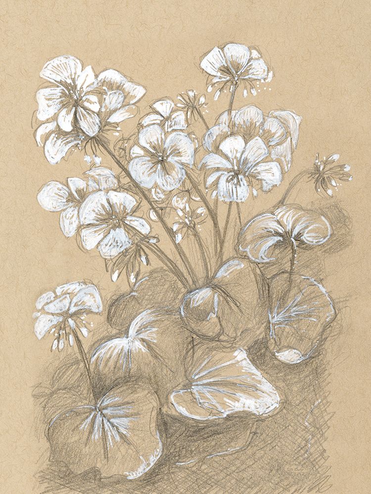 Geraniums art print by Patti Bishop for $57.95 CAD