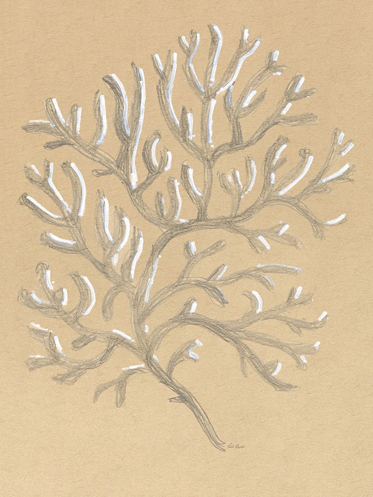 Drawing Coral art print by Patti Bishop for $57.95 CAD