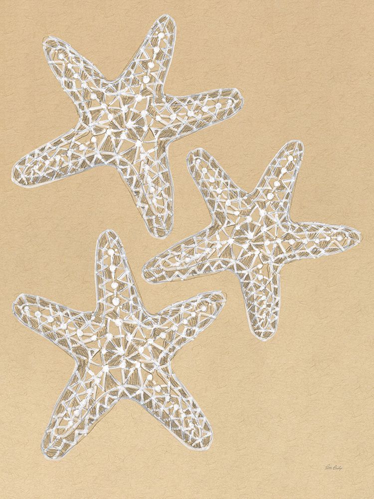 Drawing Starfish art print by Patti Bishop for $57.95 CAD
