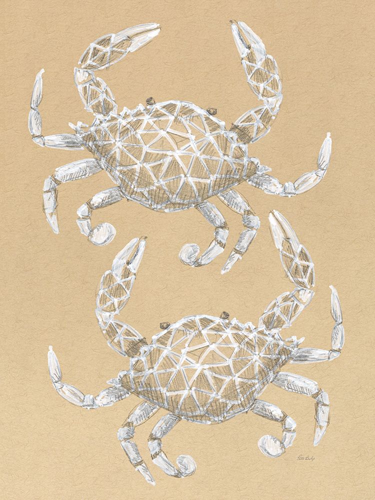 Drawing Crabs art print by Patti Bishop for $57.95 CAD