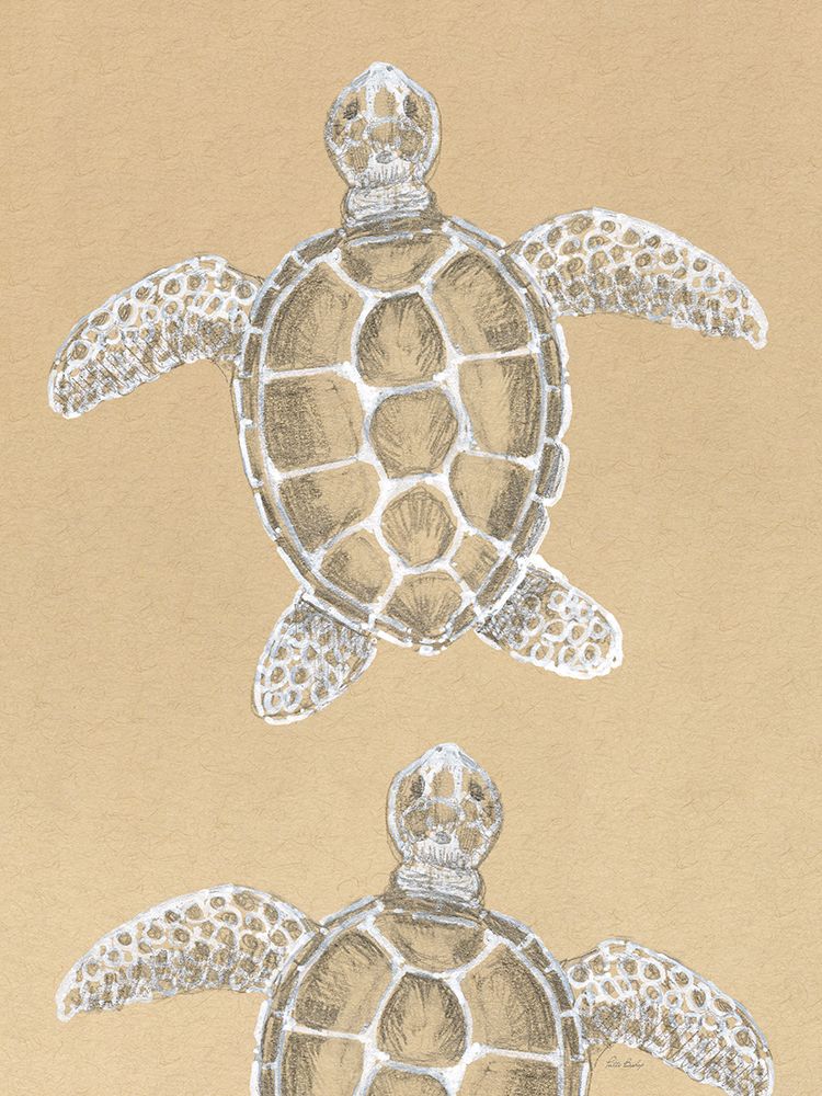 Drawing Turtles art print by Patti Bishop for $57.95 CAD