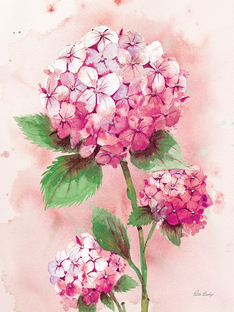 Hydrangea Pink 1 art print by Patti Bishop for $57.95 CAD