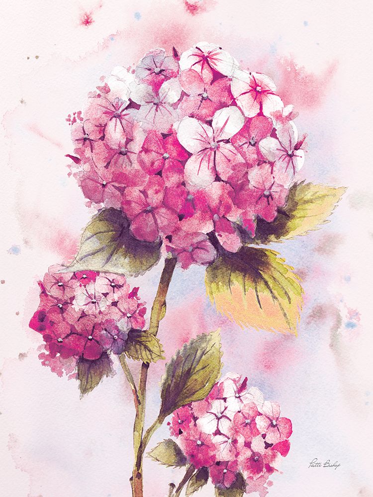 Hydrangea Pink 2 art print by Patti Bishop for $57.95 CAD